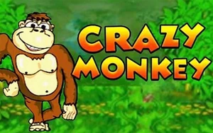 Crazy Monkey